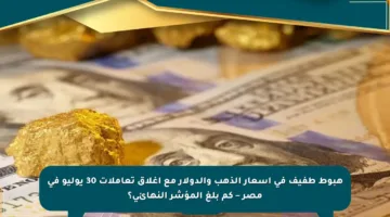 هبوط طفيف في أسعار الذهب والدولار مع إغلاق تعاملات 30 يوليو في مصر – كم بلغ المؤشر النهائي؟